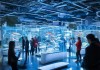 海鲜科技活动，开启你的自由与创新之旅！